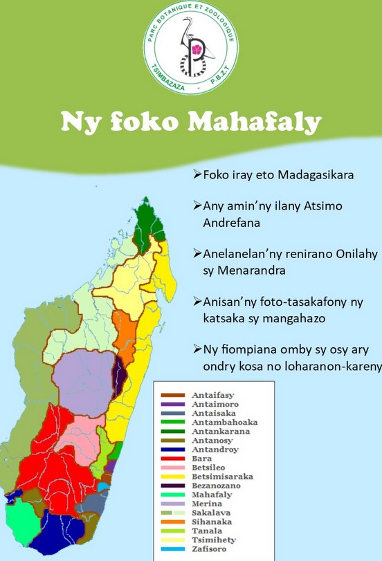 Distribution géographique du foko Mahafaly 
